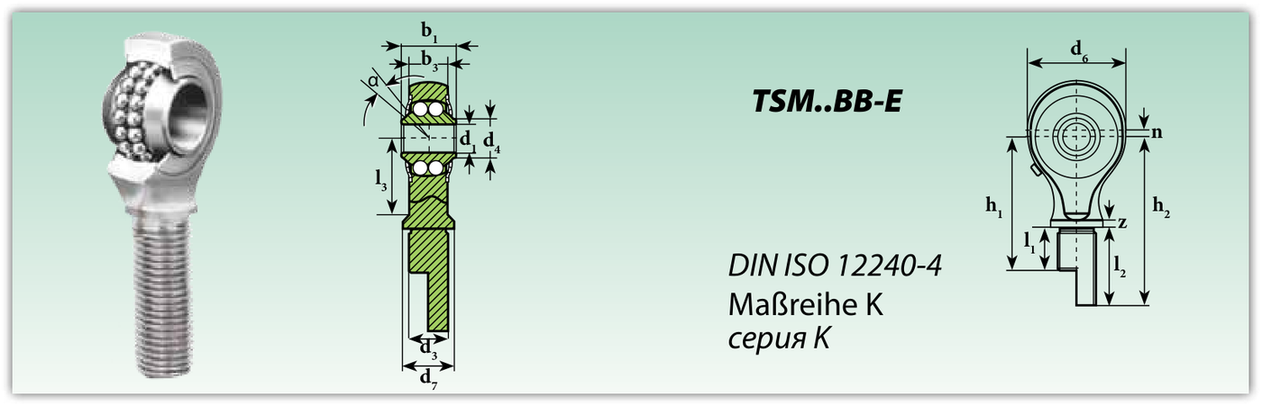 Конструкция и обозначения размеров (TSM..BB-E)