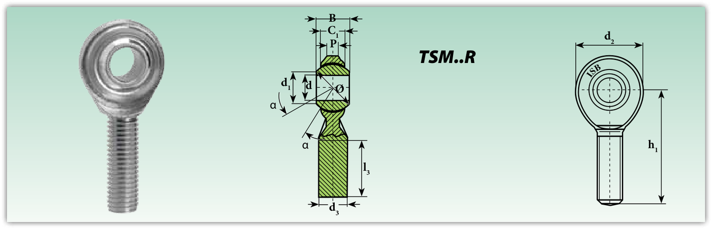 Конструкция и обозначения размеров (TSM.R)